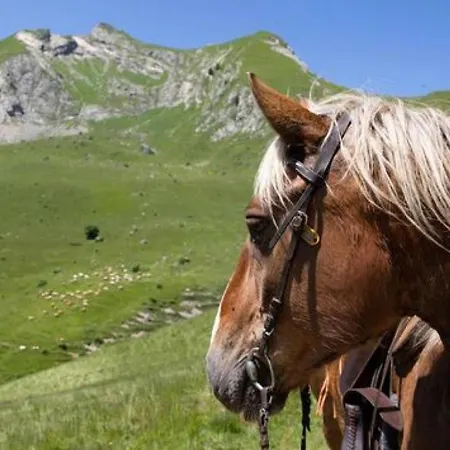La Belle Vue Les 2 Alpes * Ле дез Альп