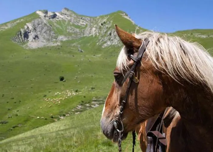 La Belle Vue Les 2 Alpes * Ле дез Альп